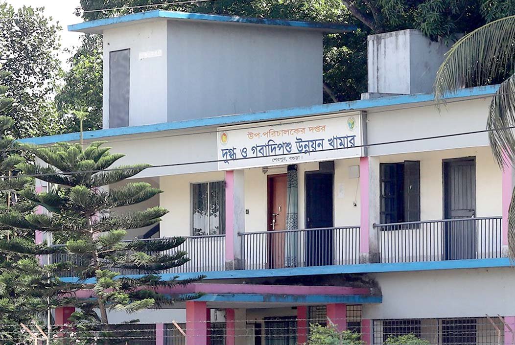 শেরপুরে সরকারি ভিত্তিমূল্য গোপন রেখে গরুর নিলাম, নিয়মভঙ্গের অভিযোগ