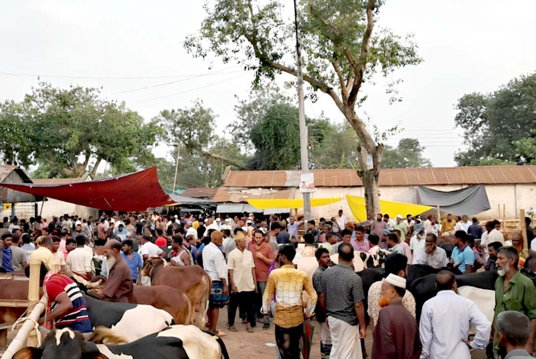 শেরপুর বারোদুয়ারী হাটে জায়গার সংকট ও ক্রেতা সঙ্কটে বিক্রেতাদের হতাশা