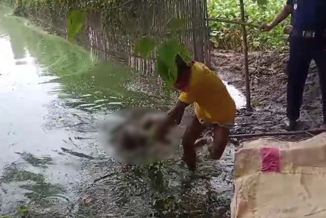 শেরপুরে কিশোরের লাশ উদ্ধার