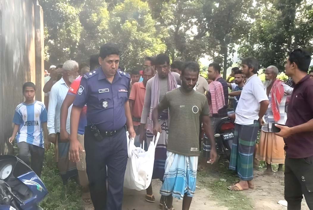 মেহেরপুরে ট্রাকচাপায় জাবি শিক্ষার্থী নিহত