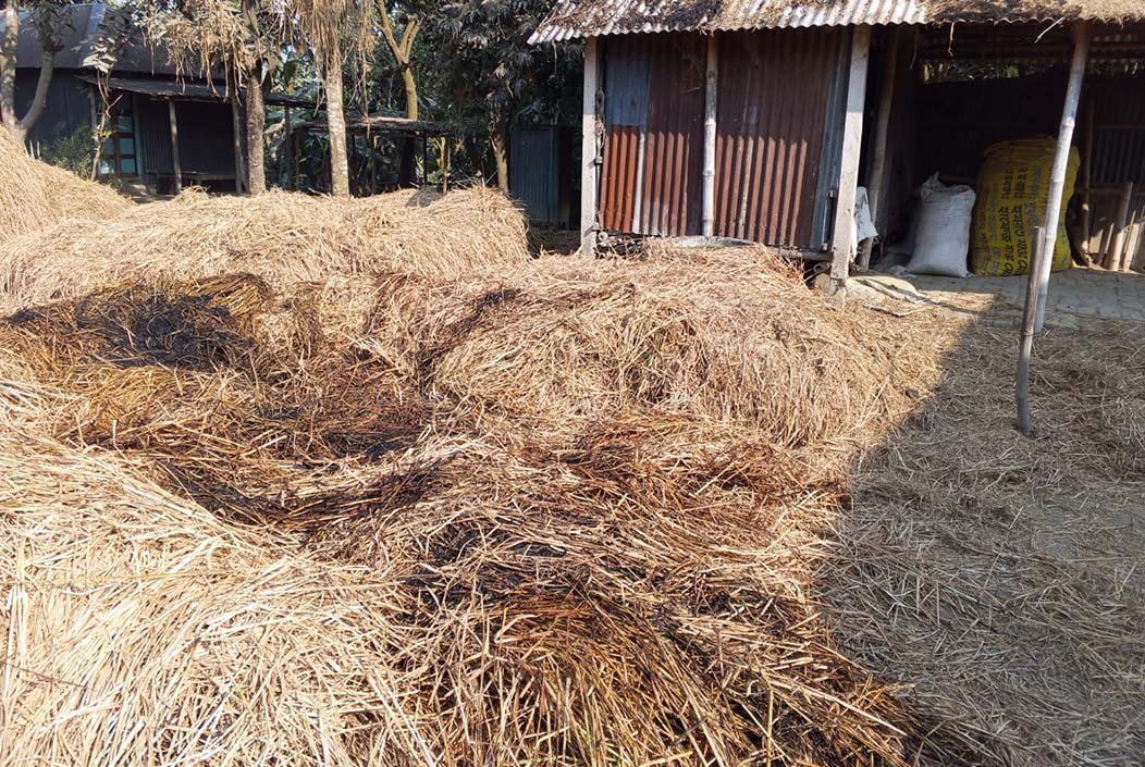 শেরপুরে পূর্ব বিরোধের জেরে কৃষকের খড়ের পালায় আগুন