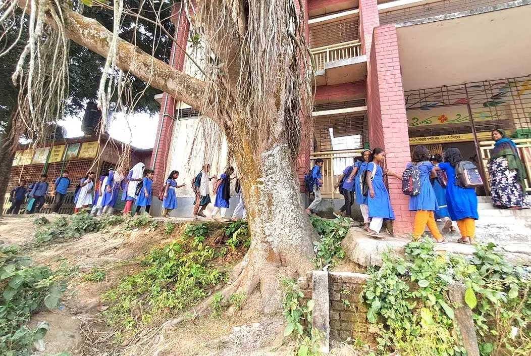 পুকুরপাড়ে ধসে পড়ার ঝুঁকিতে শেরপুরের হুসনাবাদ স্কুলের ...