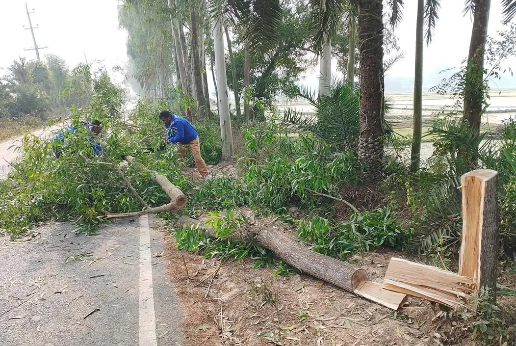 শেরপুরে অটোভ্যান চালকের হাত-পা বেঁধে গাড়ি নিয়ে উধাও দুর...