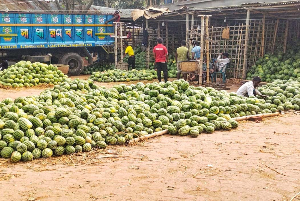 সাত উপজেলার ফলের যোগানদাতা এখন শেরপুরের বারোদুয়ারি বাজার