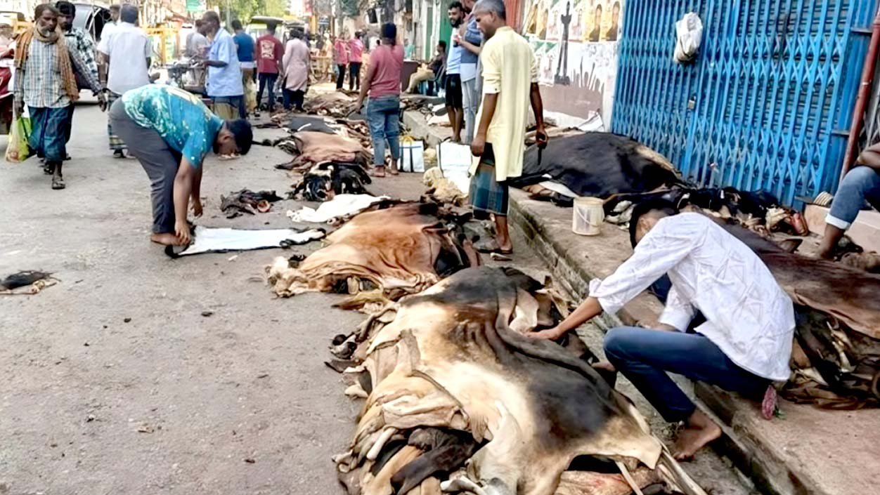 বগুড়ায় চামড়ার বাজারে ধস, লোকসানে মৌসুমি ব্যবসায়ীরা