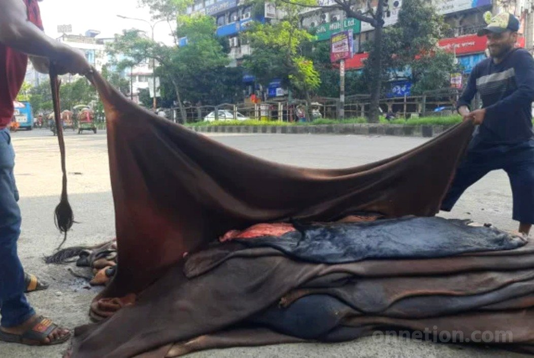 চামড়ার বাজারে অস্থিরতা: সিন্ডিকেটের কারসাজিতে ক্ষুব্ধ বিক্রেতারা