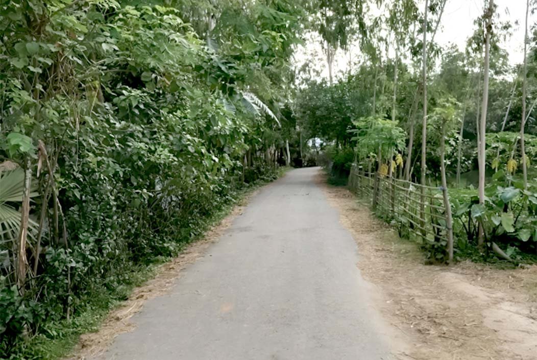 শেরপুরে বিশ্বা-তিরাইল সড়কে মাদকসেবীদের উৎপাত, আতঙ্কে এলাকাবাসী