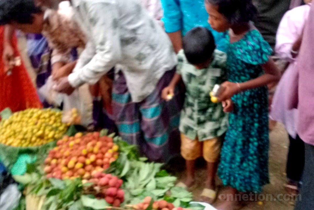 শেরপুরে ৪৫ বছরের ঐতিহ্যবাহী ফলের মেলা