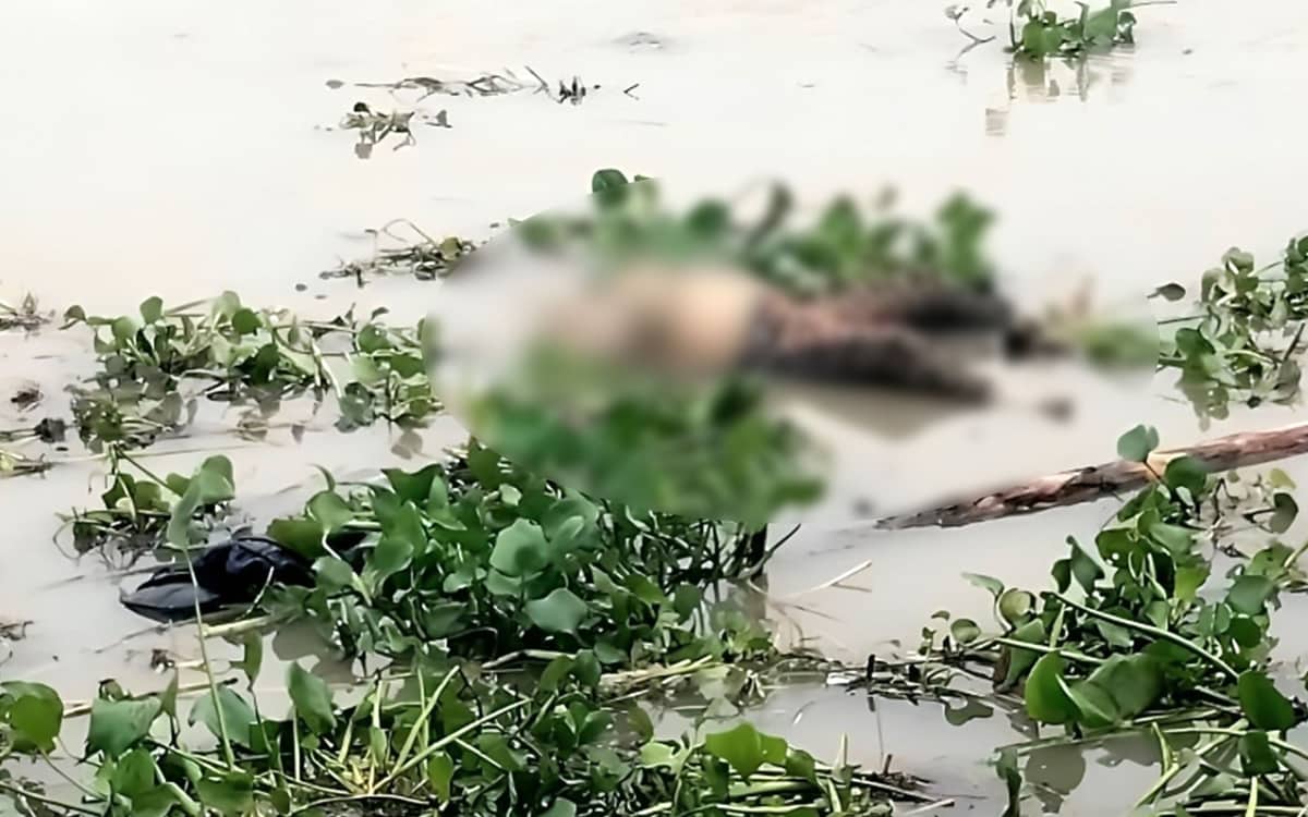 ধুনটে যমুনা নদীতে ভাসমান নারীর মরদেহ, পরিচয় মেলেনি