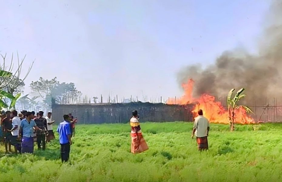 কুষ্টিয়ার ভেড়ামারায় আগুনে পুড়ল ৭০০ বিঘা পানবরজ, ক্ষতি ১০০ কোটি টাকা