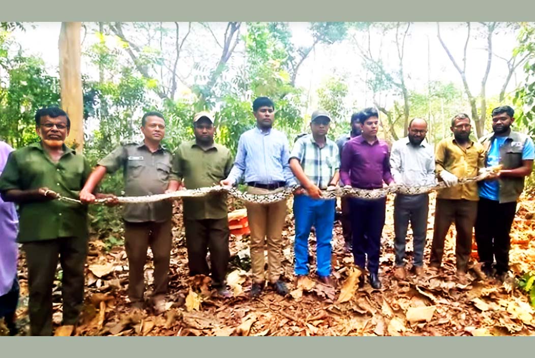 রাঙ্গামাটিতে হাঁসের খামার থেকে ১৪ ফুটের অজগর উদ্ধার