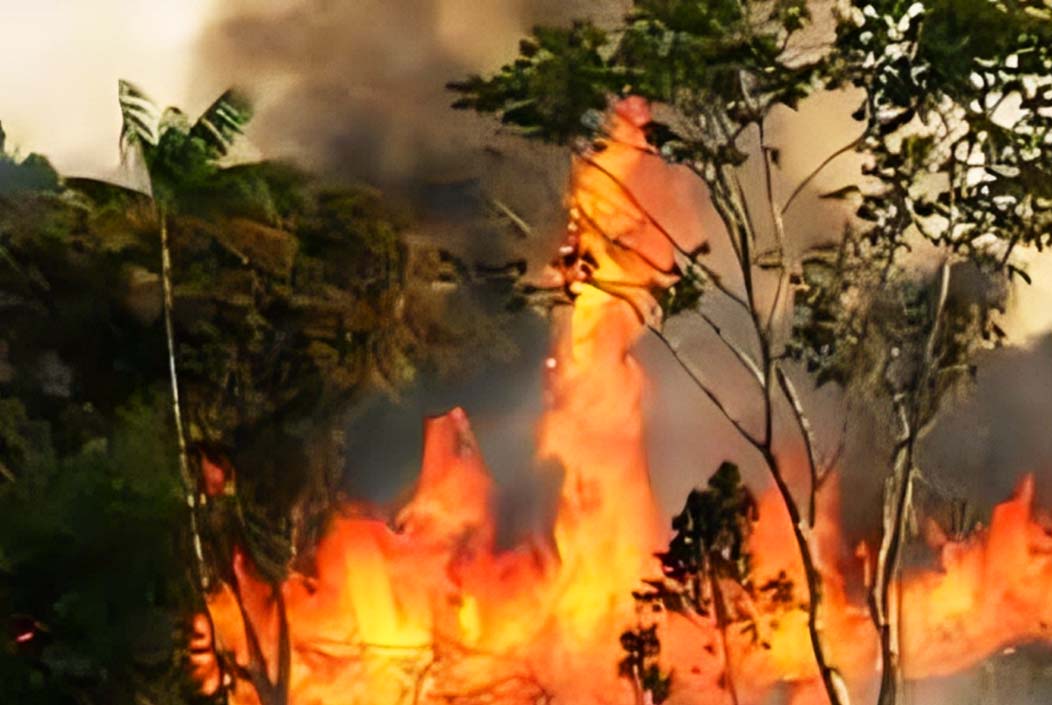 সুন্দরবনে ভয়াবহ আগুন