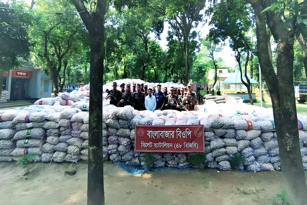 সীমান্ত এলাকায় সোয়া ২ কোটি টাকার চোরাই পণ্য জব্দ