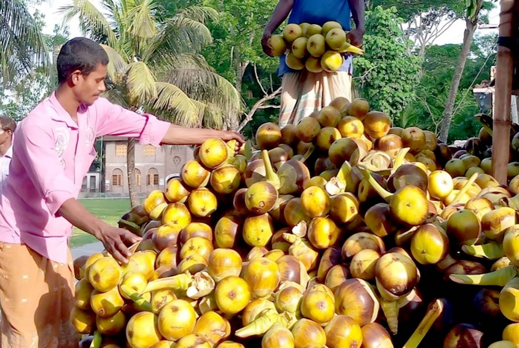 দুই টাকার তালের শাঁস বাজারে ৩০ টাকা!