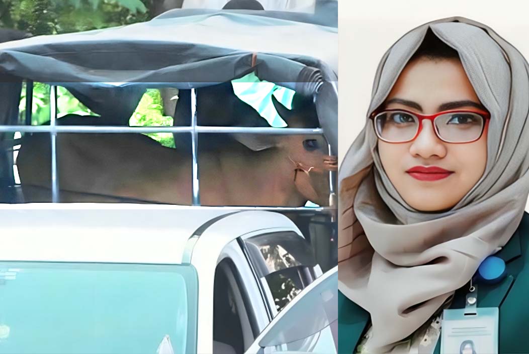 সরকারি গাড়িতে নাটোরে এলো ইউএনওর কোরবানির গরু