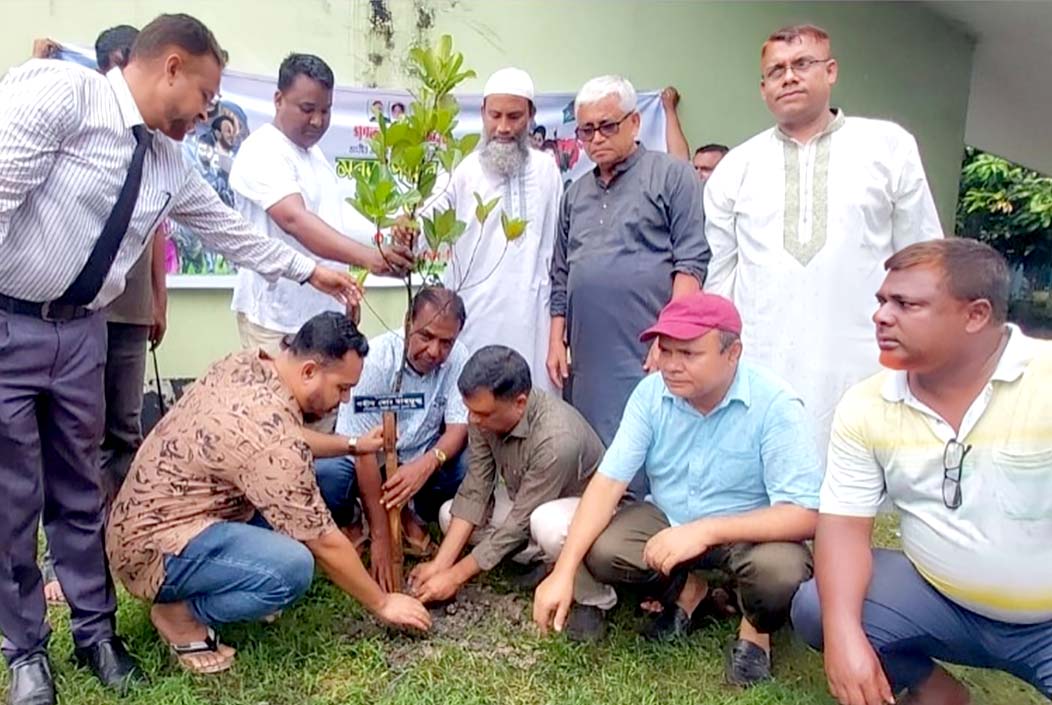 বগুড়ায় শহীদের স্মরণে বিএনপির বৃক্ষরোপণ কর্মসূচি