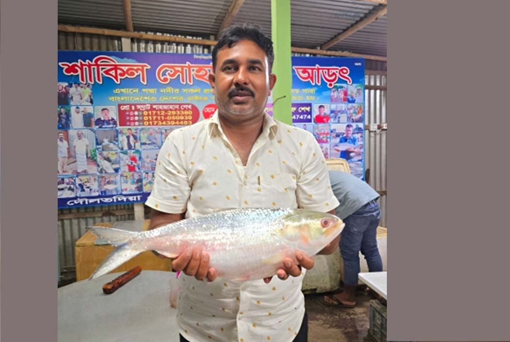এক ইলিশ সাড়ে ১৪ হাজারে বিক্রি