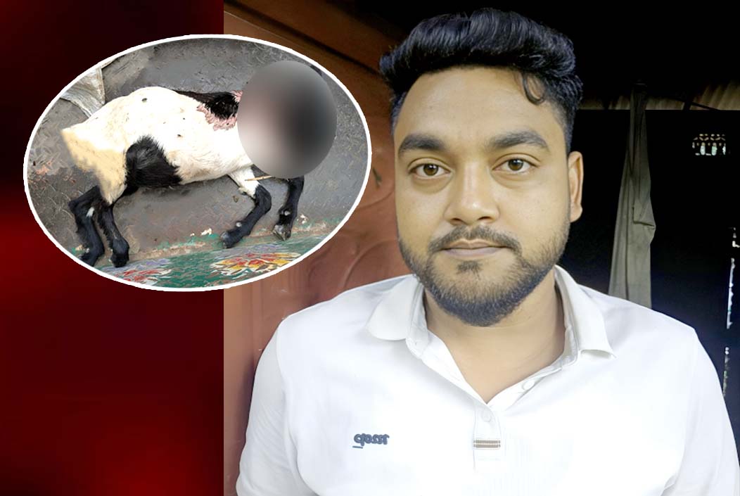 শেরপুরে ছাগল হত্যা মামলায় যুবক গ্রেফতার