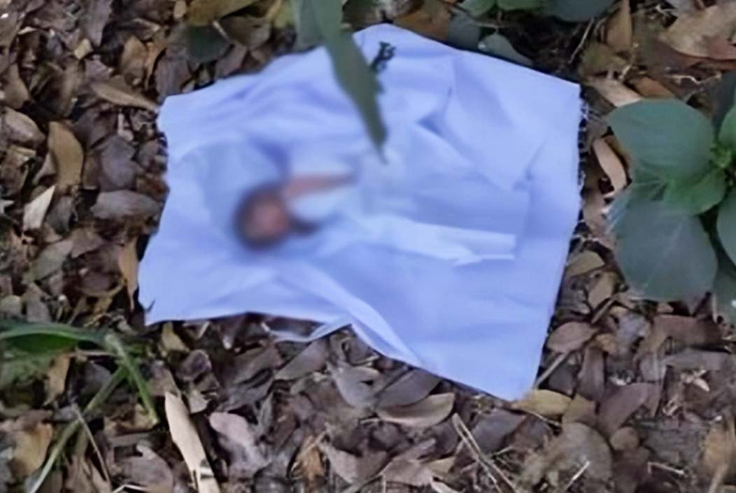 শৈলকুপায় কাফনের কাপড়ে জড়ানো নবজাতকের মরদেহ উদ্ধার শৈলকুপায় কাফনের কাপড়ে জড়ানো নবজাতকের মরদেহ উদ্ধার