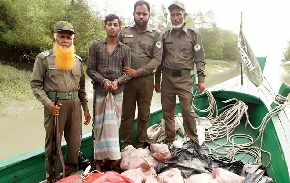 সুন্দরবনে হরিণ ও শূকরের মাংসসহ গ্রেপ্তার ১ সুন্দরবনে হরিণ ও শূকরের মাংসসহ গ্রেপ্তার ১