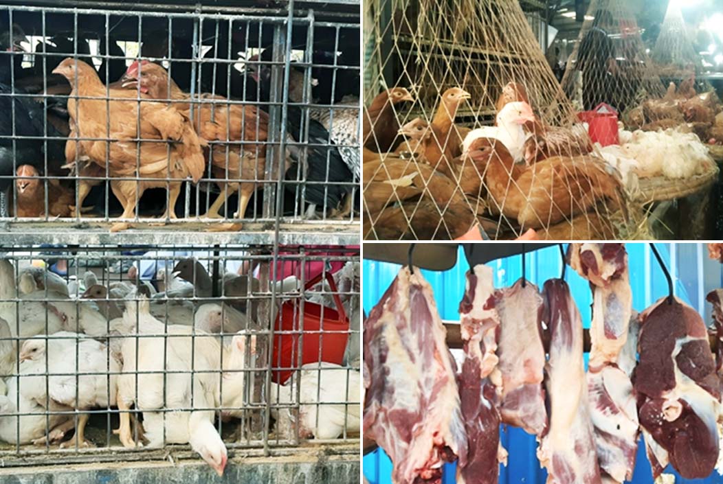 চাহিদা কম তবুও গরু-মুরগির দাম আকাশছোঁয়া চাহিদা কম তবুও গরু-মুরগির দাম আকাশছোঁয়া