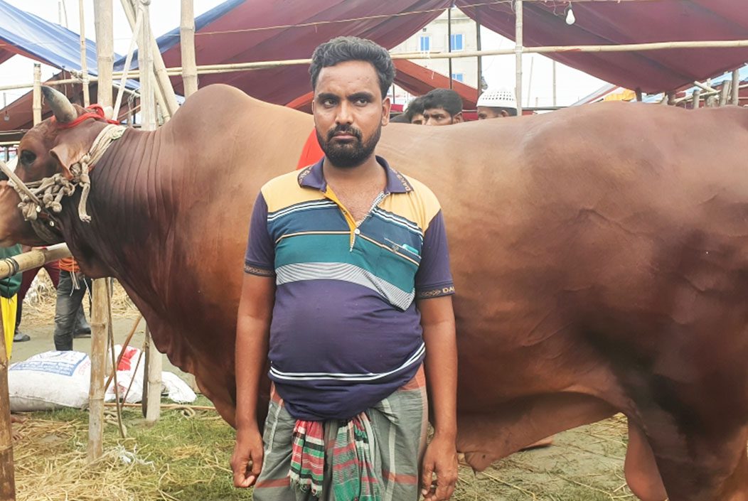 ব্রাহ্মণবাড়িয়ার ঈদের হাট কাঁপাচ্ছে ৩০ মণের ‘লালু মাস্তান’ ব্রাহ্মণবাড়িয়ার ঈদের হাট কাঁপাচ্ছে ৩০ মণের ‘লালু মাস্তান’