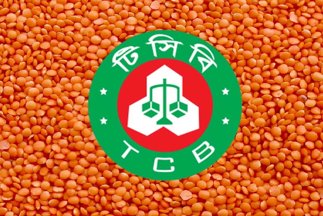 টিসিবির জন্য ৯৮ কোটি টাকার মসুর ডাল কিনবে সরকার টিসিবির জন্য ৯৮ কোটি টাকার মসুর ডাল কিনবে সরকার
