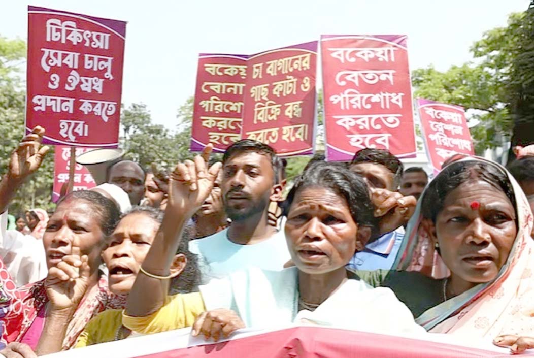 ১১ দফা দাবিতে সিলেট জেলা প্রশাসকের কার্যালয় অভিমুখে চা-শ্রমিকদের বিক্ষোভ
