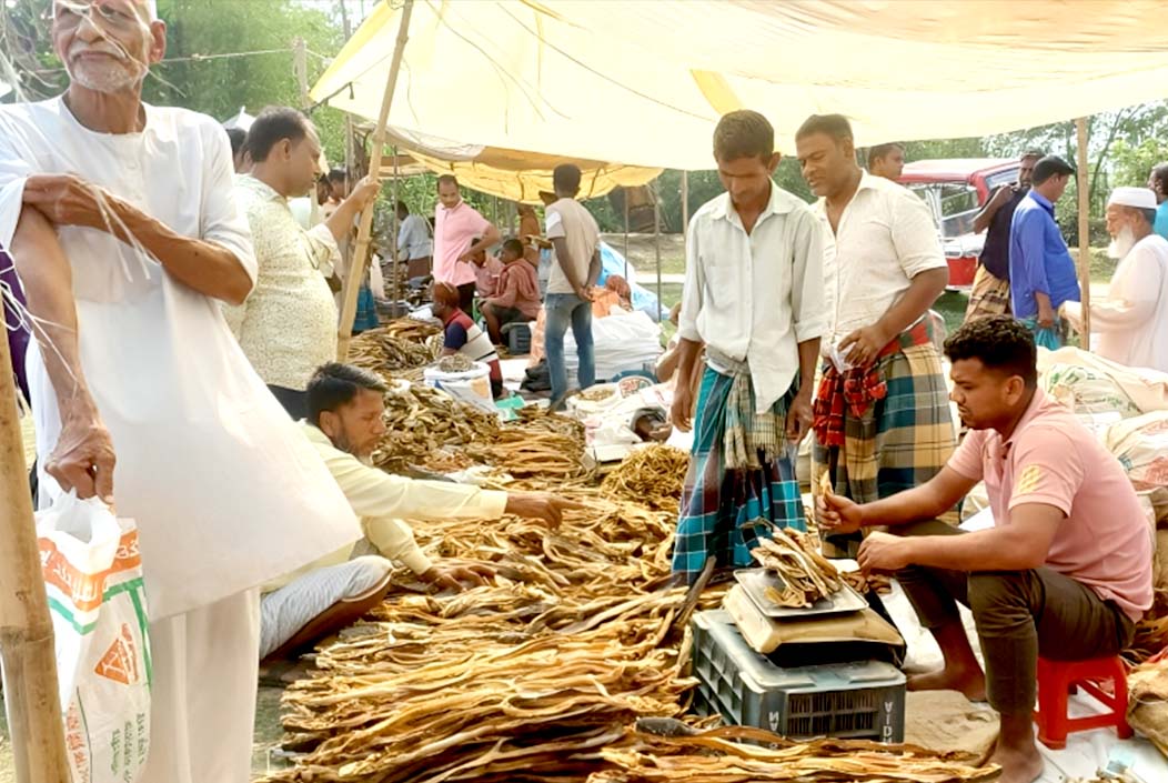 ব্রাহ্মণবাড়িয়ায় শতবর্ষের ঐতিহ্যবাহী শুঁটকি মেলা এখনো জীবন্ত ব্রাহ্মণবাড়িয়ায় শতবর্ষের ঐতিহ্যবাহী শুঁটকি মেলা এখনো জীবন্ত