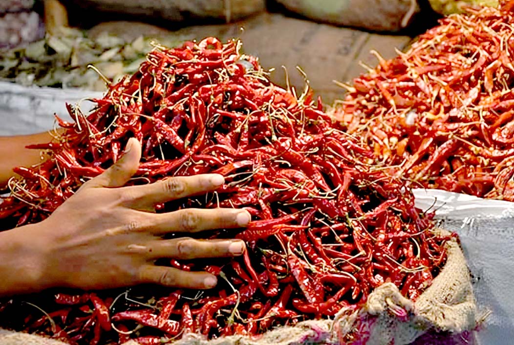 শুকনো মরিচের ঝাঁজ কম, কেজিতে কমেছে ১০০ টাকা