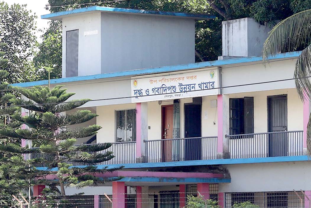 শেরপুরে সরকারি ভিত্তিমূল্য গোপন রেখে গরুর নিলাম, নিয়মভঙ্গের অভিযোগ