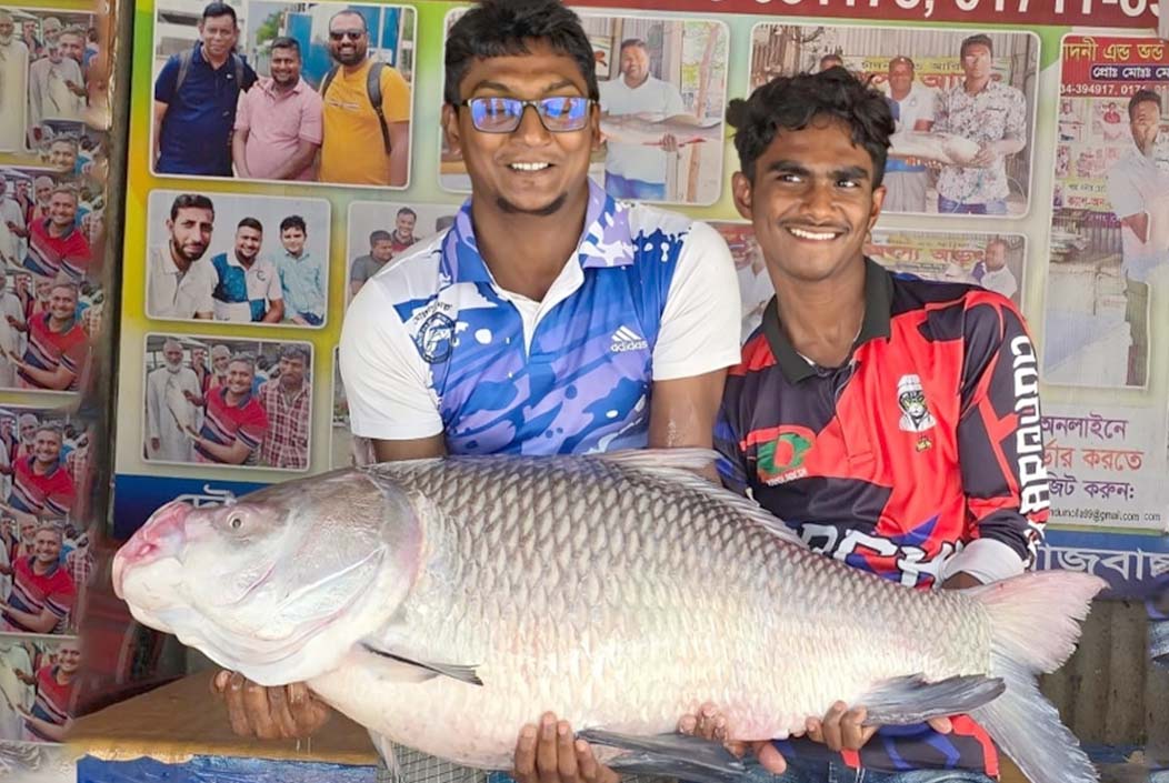 এক কাতল ৪০ হাজারে বিক্রি এক কাতল ৪০ হাজারে বিক্রি