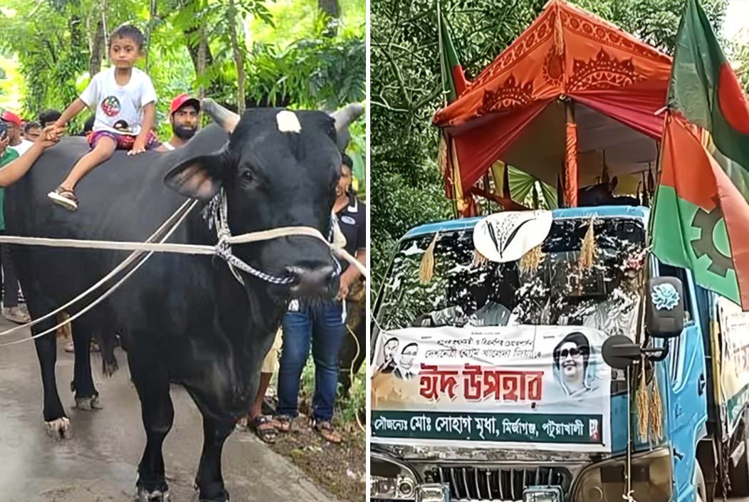 খালেদা জিয়াকে উপহার দিতে ‘কালো মানিক’ নিয়ে ঢাকার পথে কৃষক সোহাগ