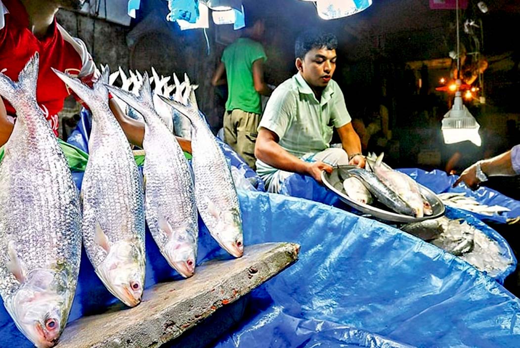 আকাশছোঁয়া ইলিশের বাজার, কেজিতে বেড়েছে ৪০০ টাকা Hilsa market skyrockets, price increases by Tk 400 per kg Onnetion