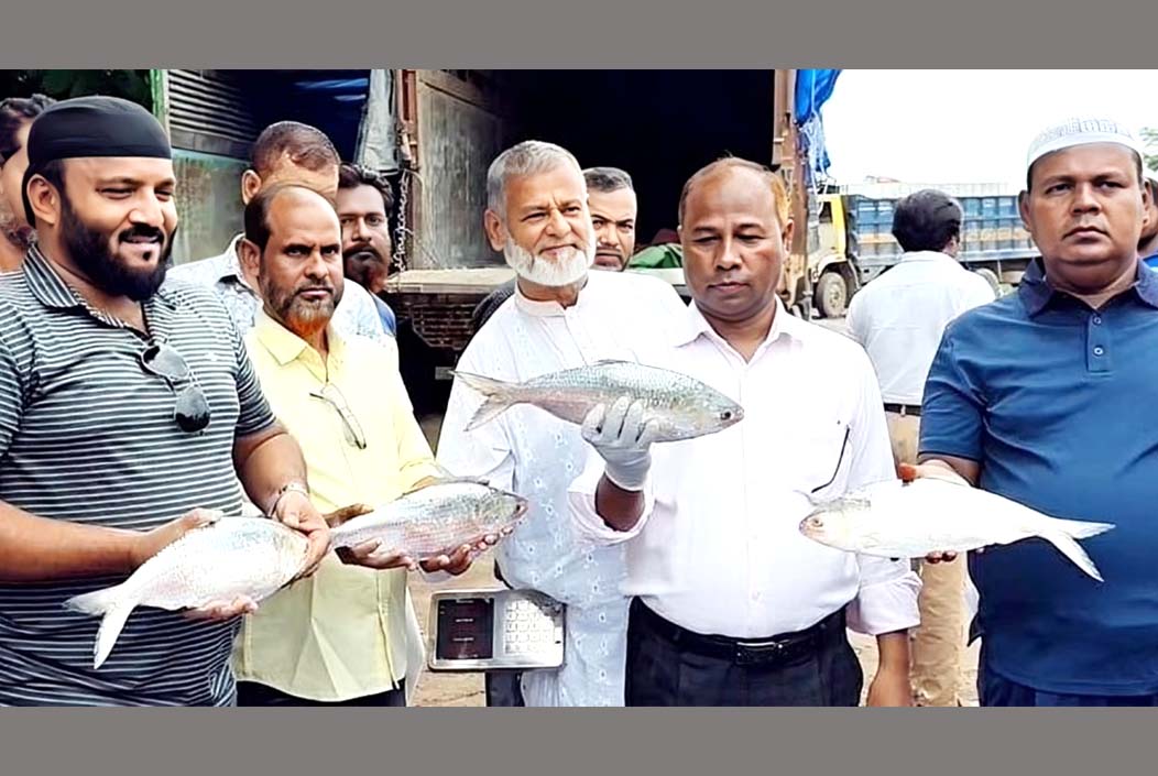 আখাউড়া স্থলবন্দর দিয়ে ভারতে গেল ১২০০ কেজি ইলিশ 1,200 kg of hilsa reached India through Akhaura land port Onnetion