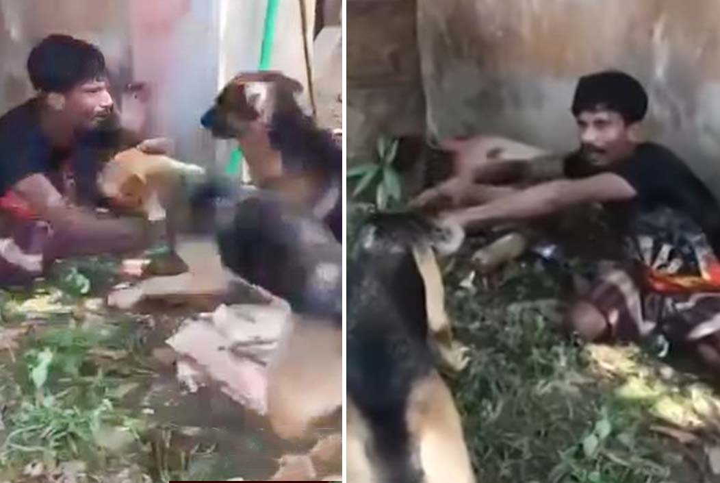 কুমিল্লায় কুকুর লেলিয়ে যুবককে নির্যাতন, গ্রেফতার ৩ Three arrested for torturing young man with dogs in Comilla Onnetion