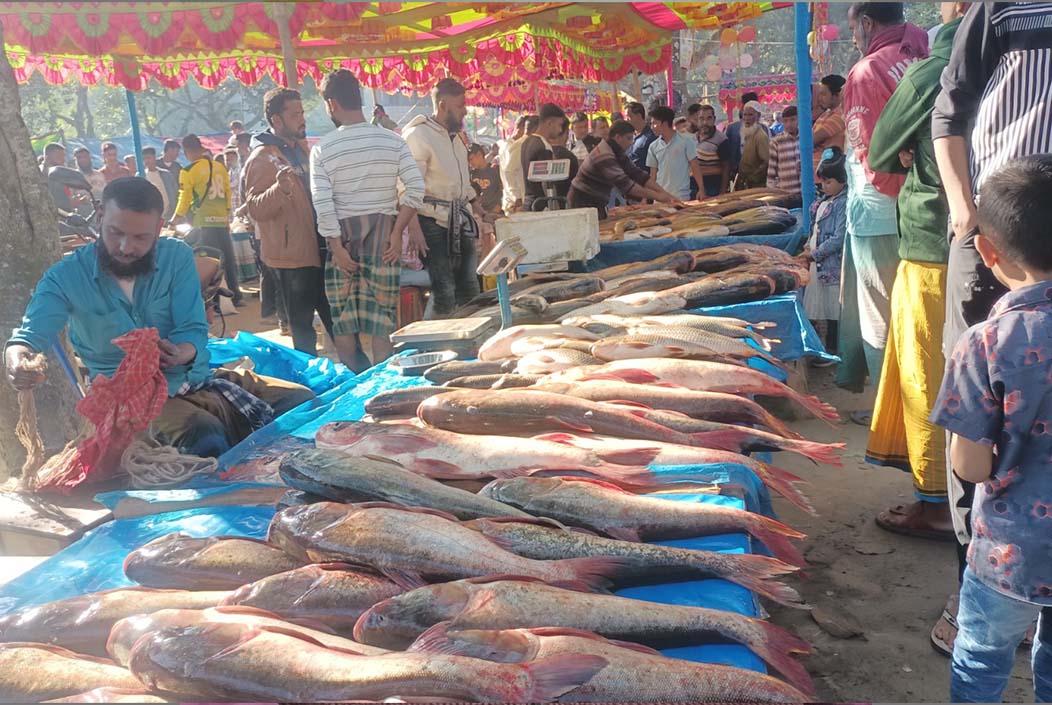 Three-century-old fish fair in the spirit of Navanna at Utholi Bazar in Bogra Onnetion