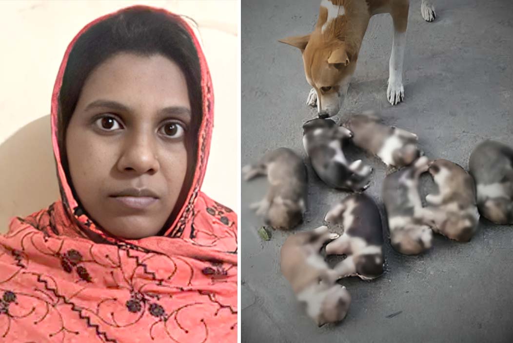 কুকুরছানা হত্যার অভিযোগে সরকারি কর্মকর্তার স্ত্রী গ্রেফতার Government official's wife arrested for killing puppy Onnetion