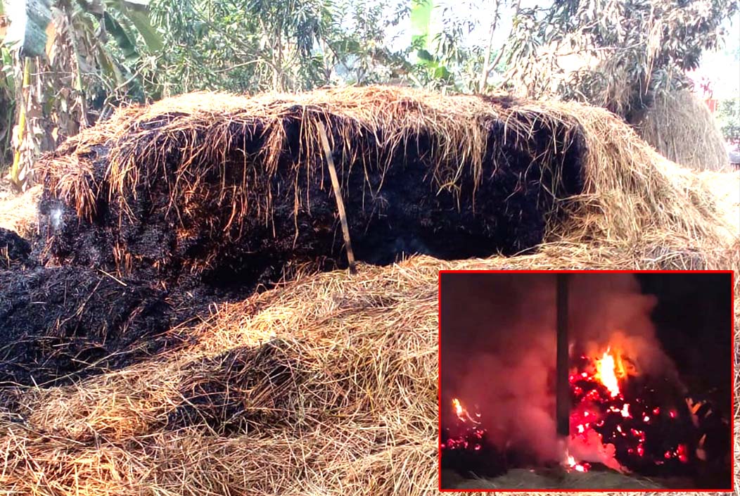 শেরপুরে গভীর রাতে খড়ের গাঁদায় অগ্নিসংযোগ Late night fire in haystack in Sherpur Onnetion