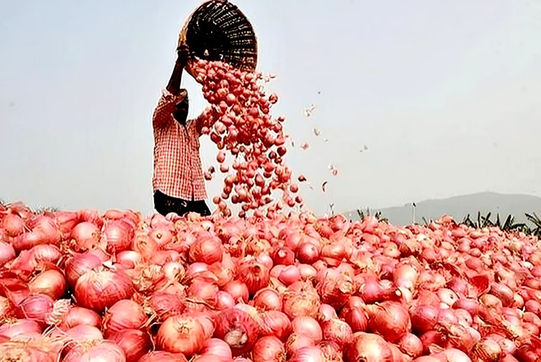 পেঁয়াজের দাম বাড়ল দুই দিনে ৩৫ টাকা Onion prices increase by Tk 35 in two days Onnetion