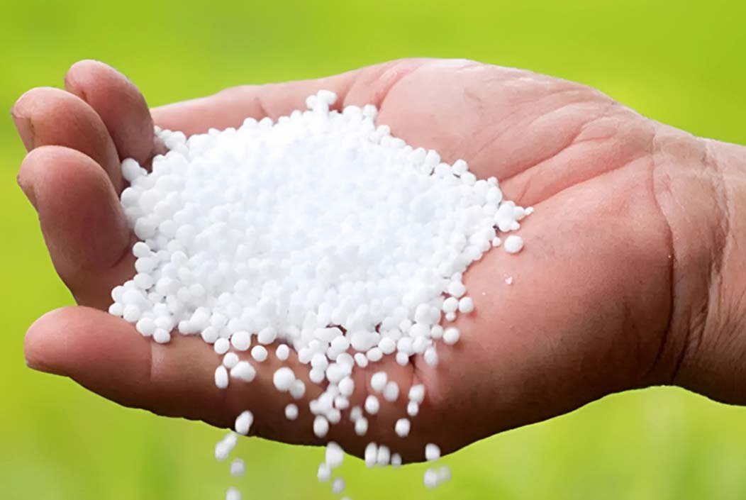 ১৪০০ কোটি টাকার সার কিনবে সরকার Government to purchase fertilizer worth Tk 1,400 crore Onnetion