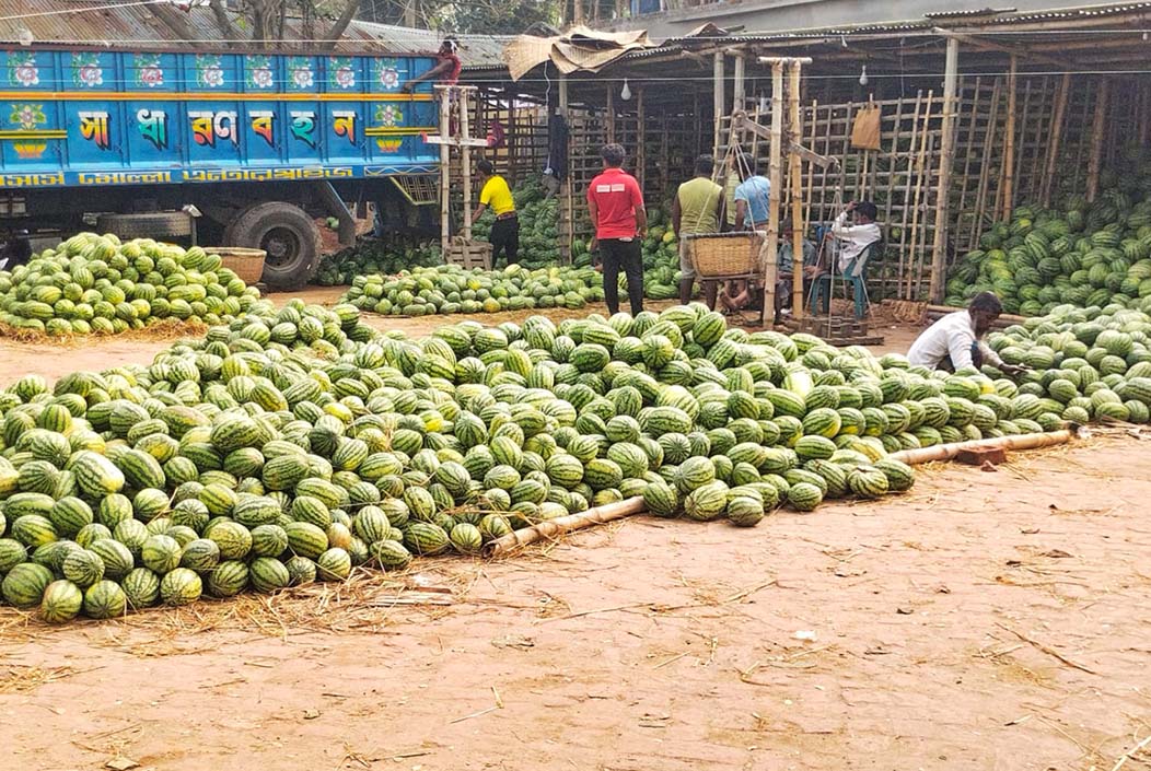 Baroduari Bazar in Sherpur is now the supplier of fruits to seven upazilas Onnetion
