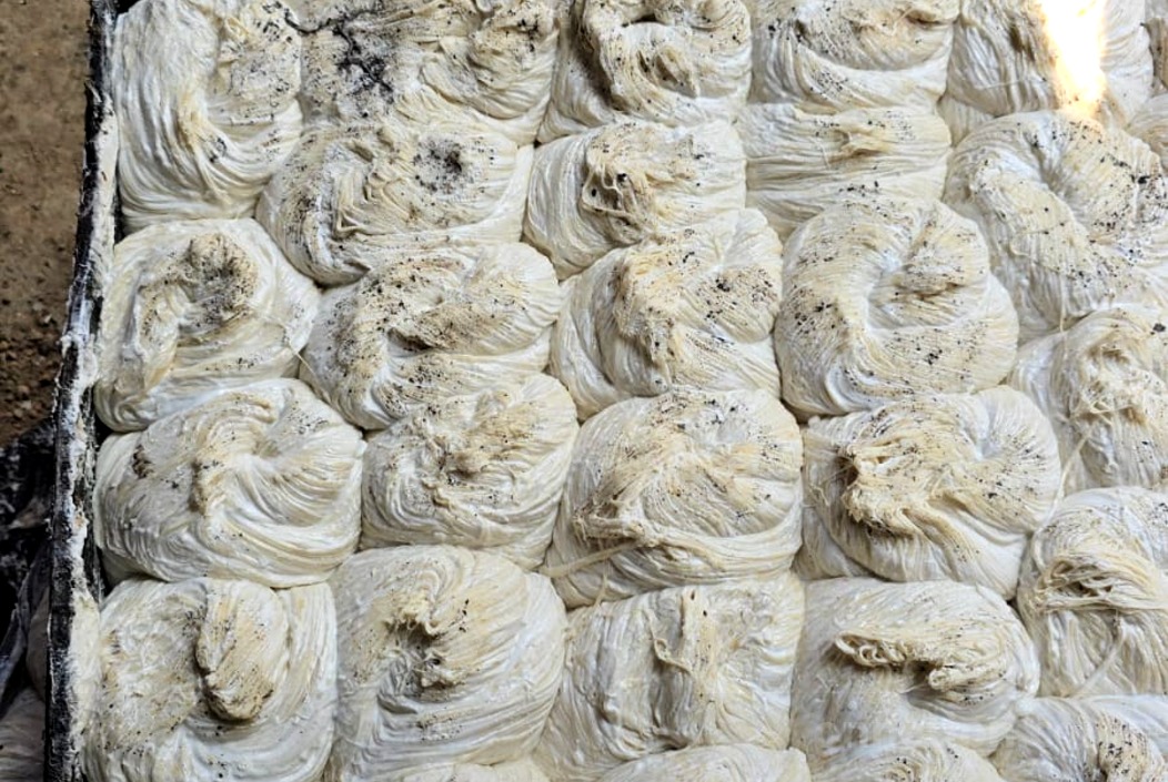 স্বাস্থ্যঝুঁকি উপেক্ষা করে এভাবেই তৈরি হচ্ছে লাচ্ছা সেমাই। বগুড়ায় অভিযানে জরিমানা করার সময় তোলা । ছবি: সংগৃহীত।