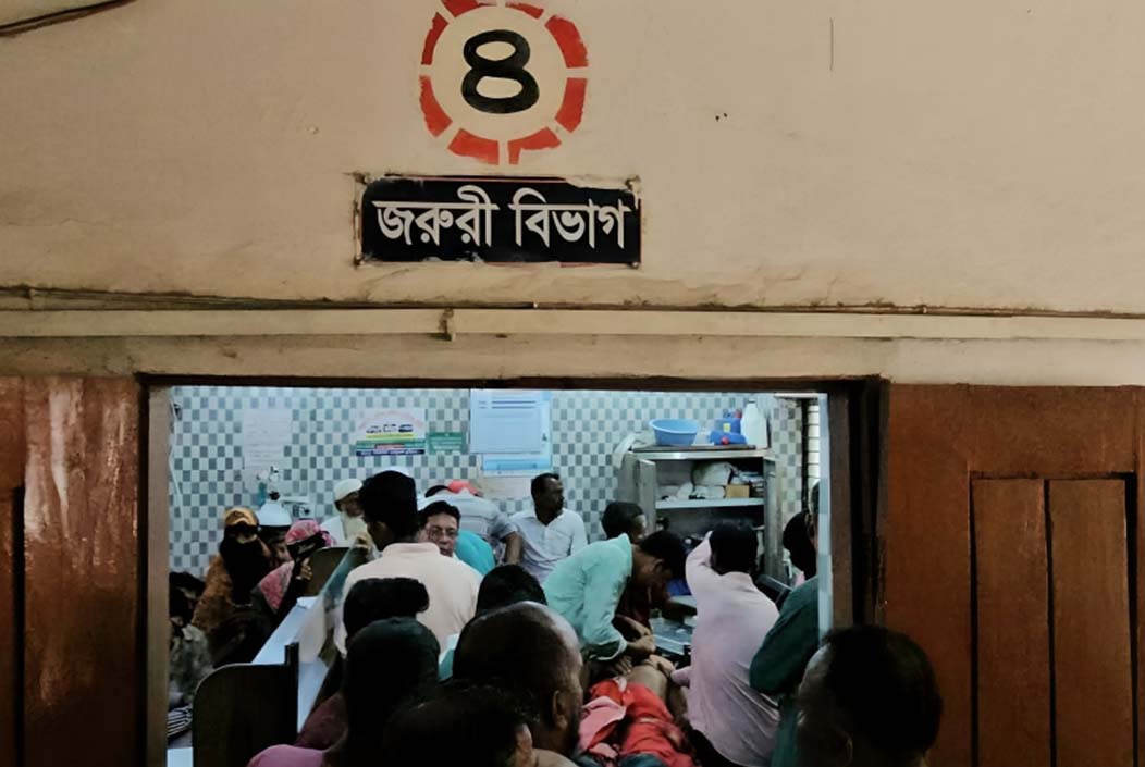 25 people hospitalized after dog bites in Barguna, three in critical condition Onnetion