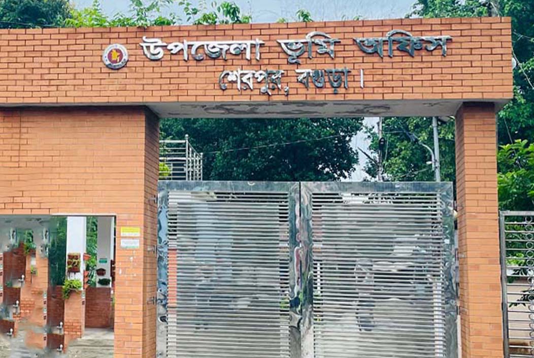 3 drivers jailed for illegal land cutting in Sherpur Onnetion