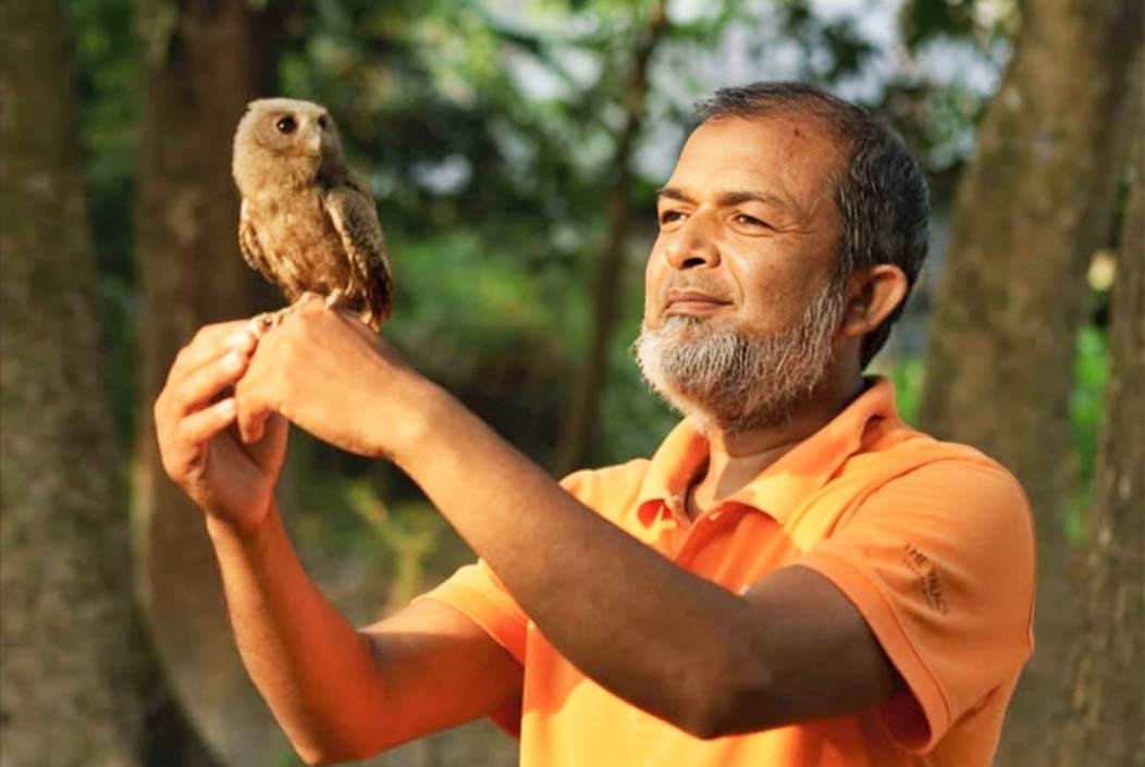 Baby owl returns to mother's arms after 15 days in Sherpur Onnetion