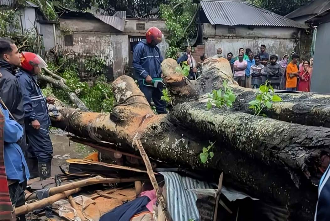 Kalbaisakhi riots in Bogra, businessman dies after tree falls on shop Onnetion