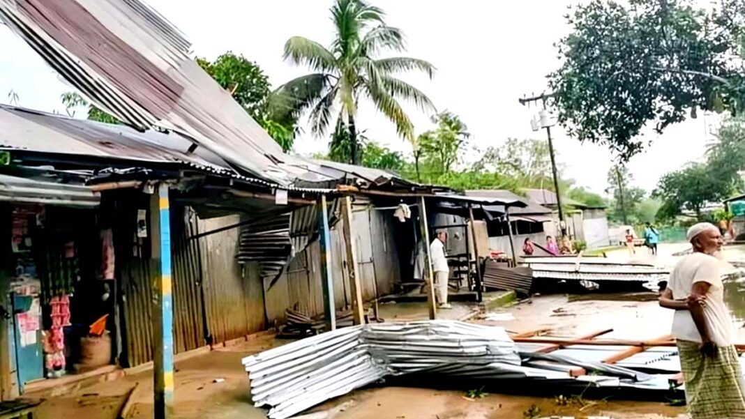 Elderly woman dies after tree falls on her in Sherpur, 50 houses destroyed Onnetion